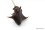 /environment/cache/images/500_0_productGfx_04266ab5a9f286c2f7afe4150c46cb56.jpg