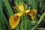 /environment/cache/images/500_0_productGfx_1329a06794ca1172d01894463c7e9ec9.jpg