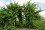 /environment/cache/images/500_0_productGfx_4fb51a012157dd050f72268ced4bee26.jpg