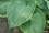 /environment/cache/images/500_0_productGfx_5d63ef11d01191113d33e664324b6c4a.jpg