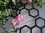/environment/cache/images/500_0_productGfx_9930d07353abb569233316203b07dc8e.jpg
