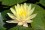/environment/cache/images/500_0_productGfx_b4c74d774147a07cfeca15815817cfb0.jpg