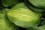 /environment/cache/images/500_0_productGfx_ee2696c95e9f02989bf874582503c4dd.jpg