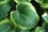 /environment/cache/images/300_250_productGfx_f9b735279af33a63e7d66c4bd9887ddd.jpg