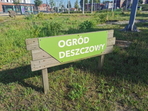 ogrod_deszczowy.jpg